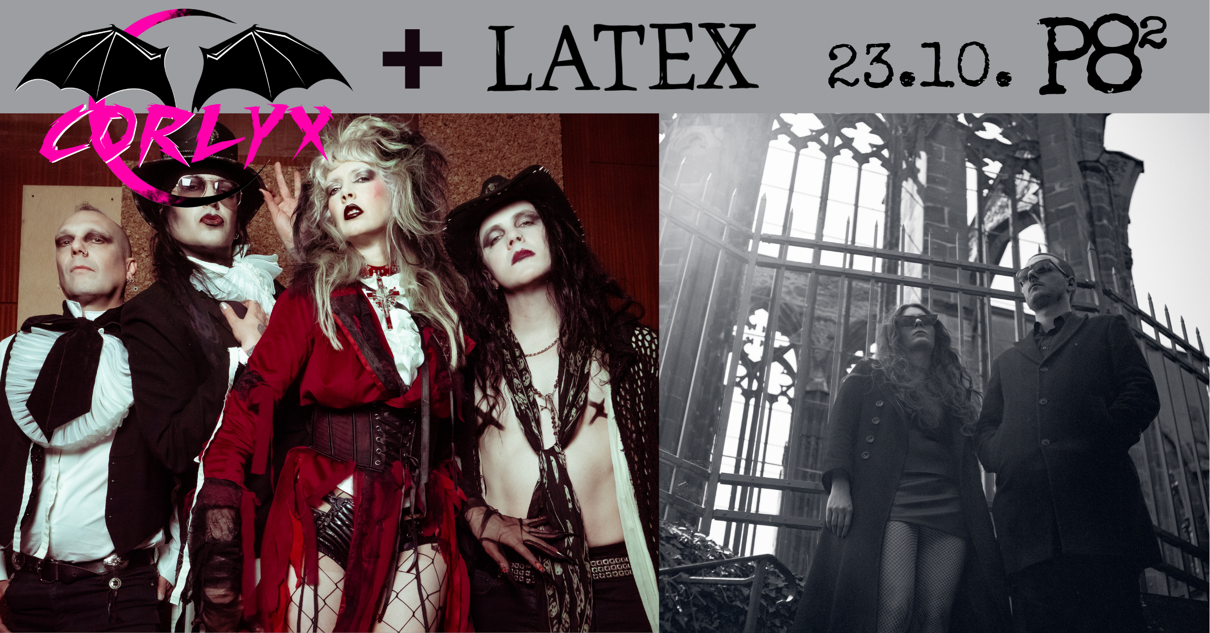 CORLYX + LATEX